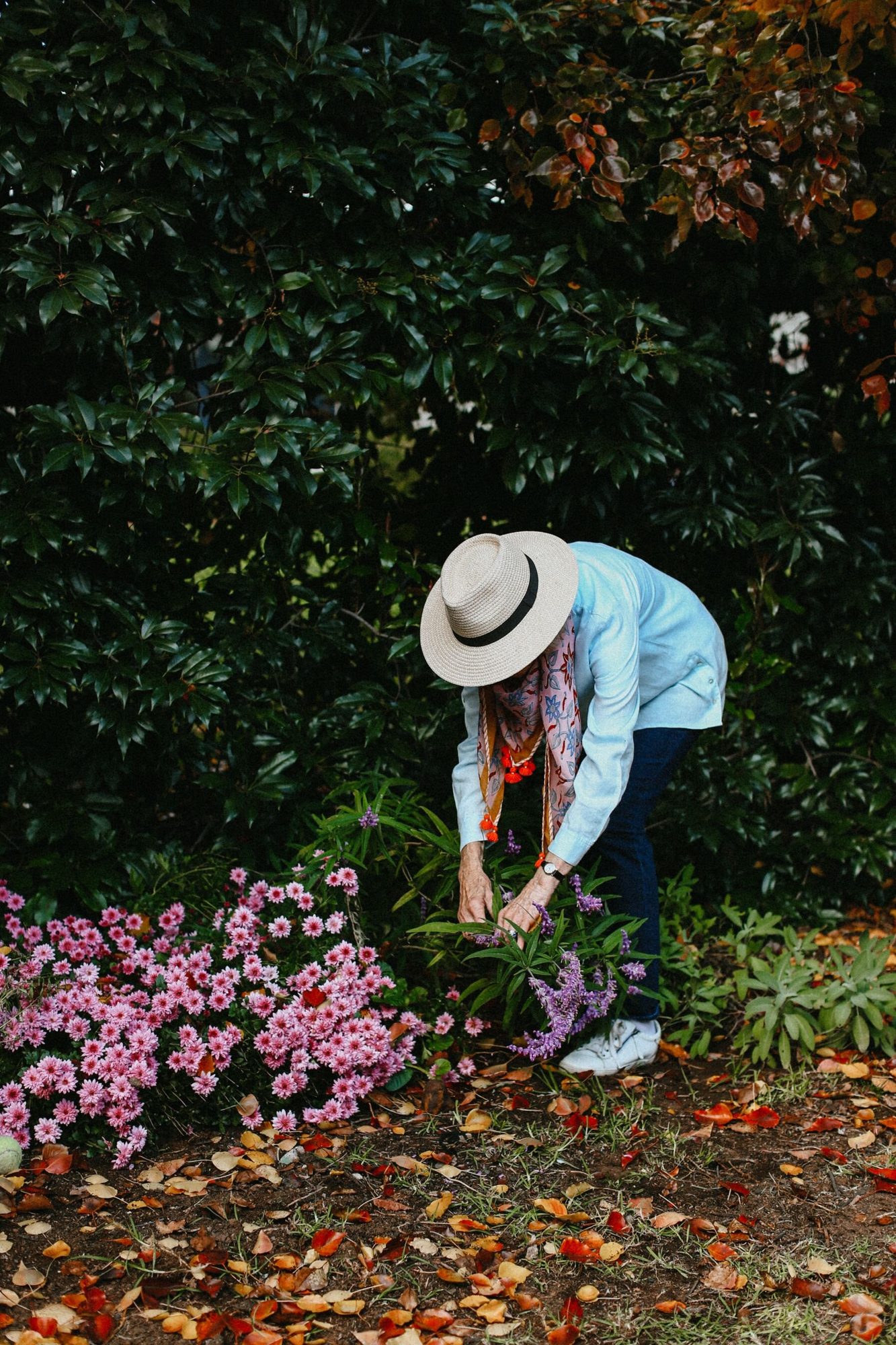 A woman in a sunhat tending pink flowers in the garden