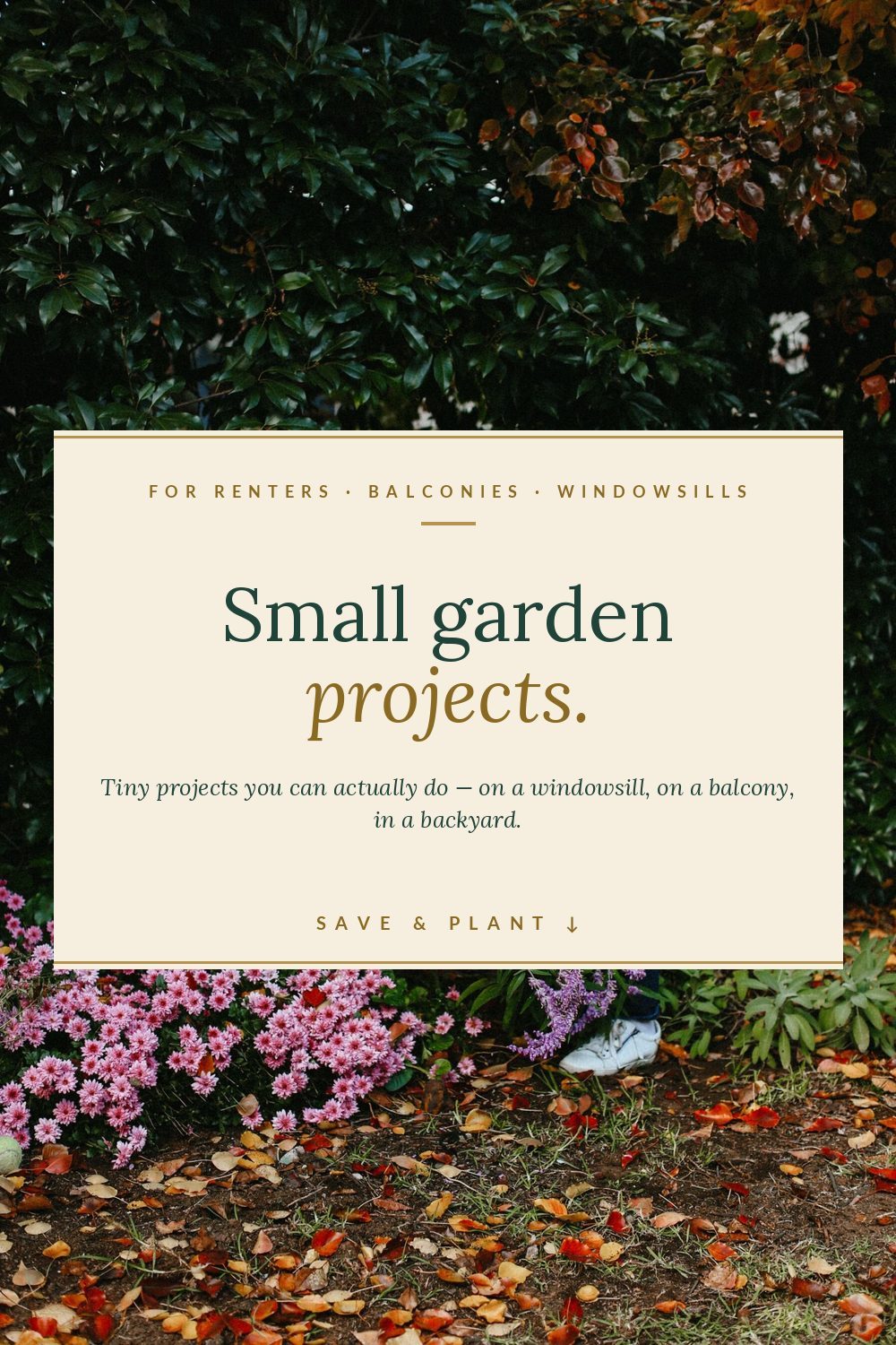 Small Garden Projects You Can Do on a Windowsill
