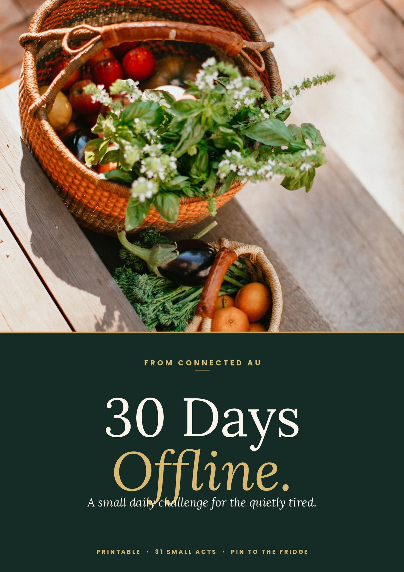 The 30-Day Offline Challenge cover, with a basket of fresh produce