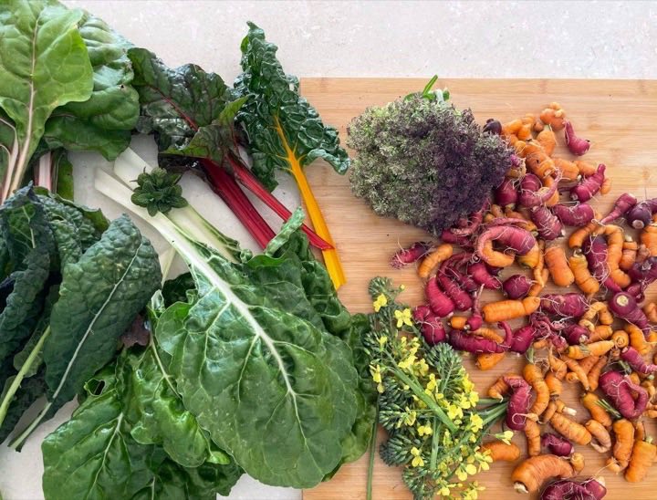 Made by a member: From the garden