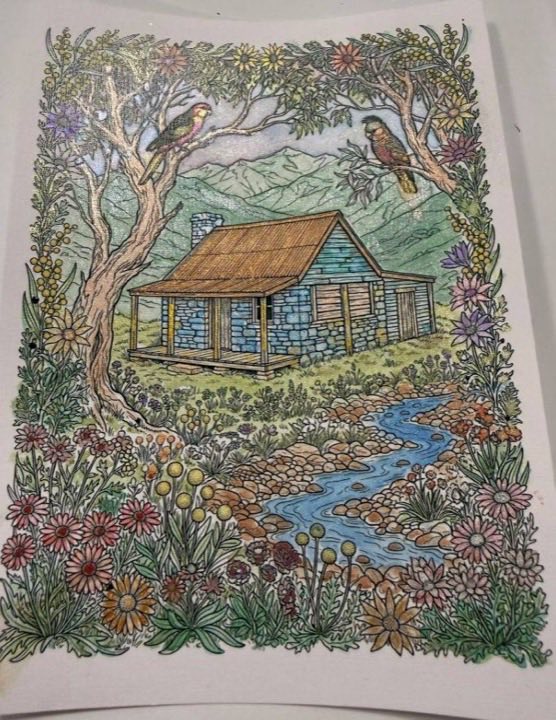Made by a member: Another cabin, another palette