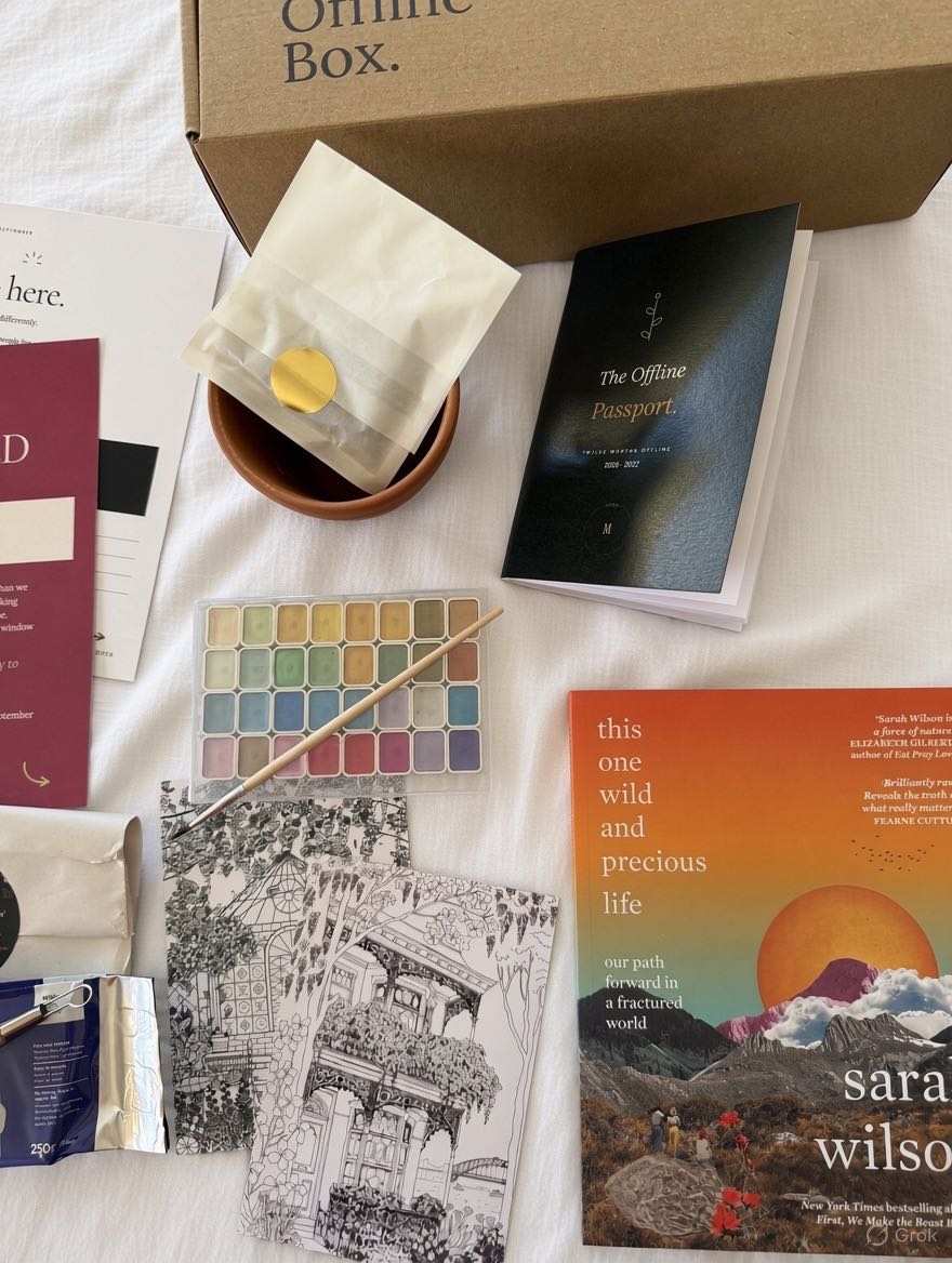 Watercolours, a book and a pot to grow something, from a past Offline Box